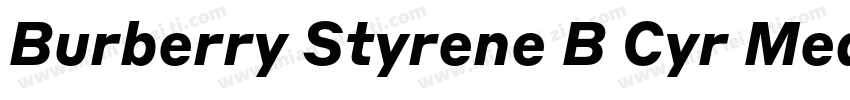 Burberry Styrene B Cyr Medium Plus字体转换